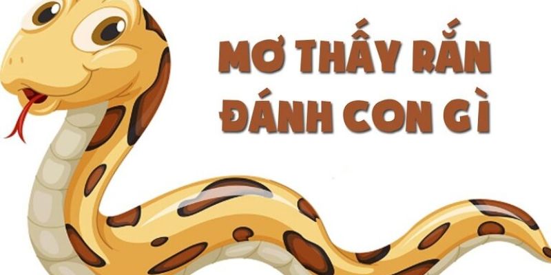 mo-thay-hai-con-ran-danh-con-gi